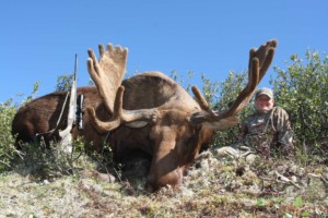 moose hunting caeser lake