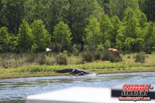 Florida hunting shoot straight tv